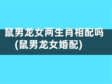 鼠男龙女两生肖相配吗(鼠男龙女婚配)