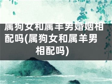 属狗女和属羊男婚姻相配吗(属狗女和属羊男相配吗)