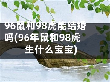 96鼠和98虎能结婚吗(96年鼠和98虎生什么宝宝)
