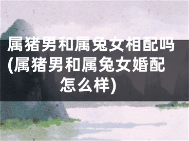 属猪男和属兔女相配吗(属猪男和属兔女婚配怎么样)