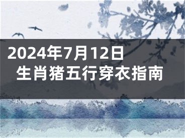 2024年7月12日生肖猪五行穿衣指南