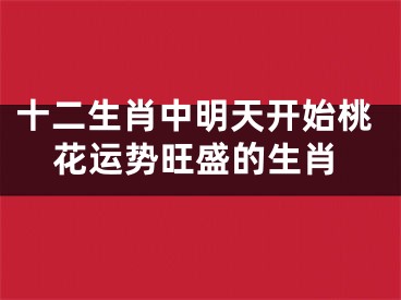 十二生肖中明天开始桃花运势旺盛的生肖