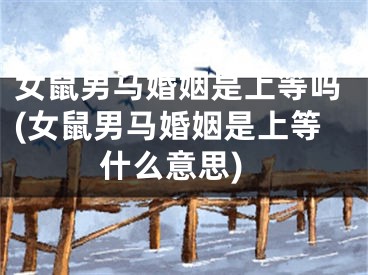 女鼠男马婚姻是上等吗(女鼠男马婚姻是上等什么意思)