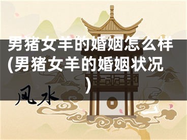 男猪女羊的婚姻怎么样(男猪女羊的婚姻状况)