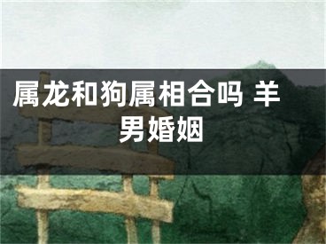 属龙和狗属相合吗 羊男婚姻