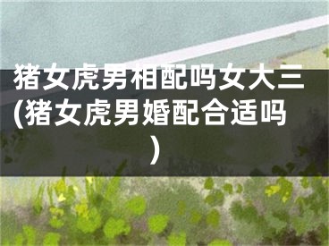 猪女虎男相配吗女大三(猪女虎男婚配合适吗)