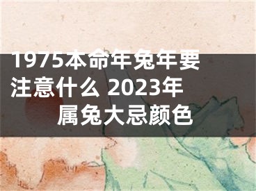 1975本命年兔年要注意什么 2023年属兔大忌颜色