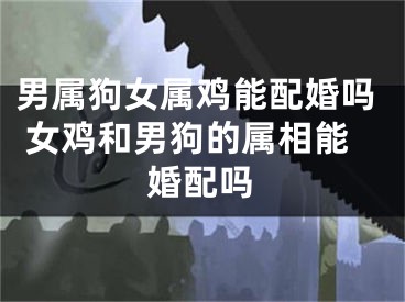 男属狗女属鸡能配婚吗 女鸡和男狗的属相能婚配吗