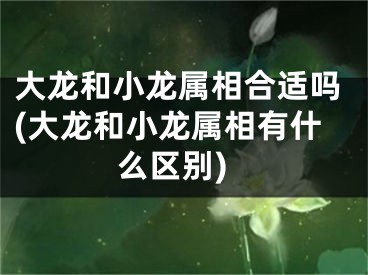 大龙和小龙属相合适吗(大龙和小龙属相有什么区别)