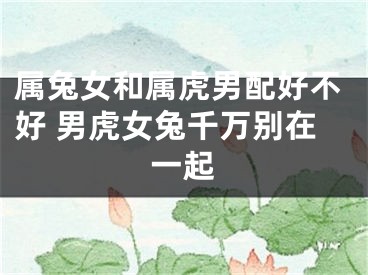 属兔女和属虎男配好不好 男虎女兔千万别在一起