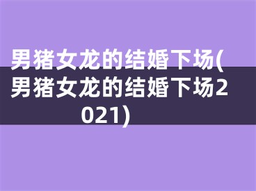 男猪女龙的结婚下场(男猪女龙的结婚下场2021)