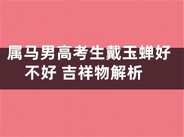 属马男高考生戴玉蝉好不好 吉祥物解析