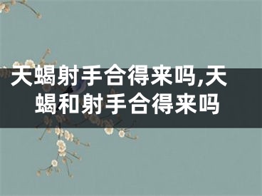 天蝎射手合得来吗,天蝎和射手合得来吗