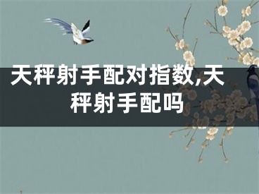 天秤射手配对指数,天秤射手配吗