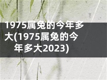 1975属兔的今年多大(1975属兔的今年多大2023)