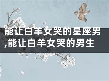 能让白羊女哭的星座男,能让白羊女哭的男生