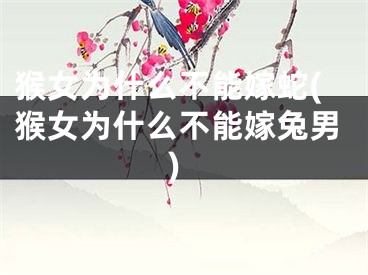 猴女为什么不能嫁蛇(猴女为什么不能嫁兔男)