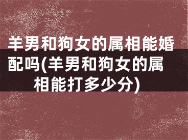 羊男和狗女的属相能婚配吗(羊男和狗女的属相能打多少分)