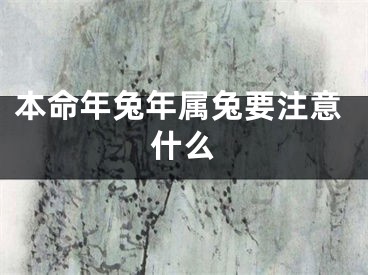 本命年兔年属兔要注意什么