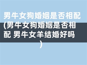 男牛女狗婚姻是否相配(男牛女狗婚姻是否相配 男牛女羊结婚好吗)