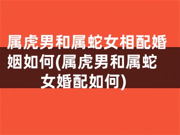 属虎男和属蛇女相配婚姻如何(属虎男和属蛇女婚配如何)
