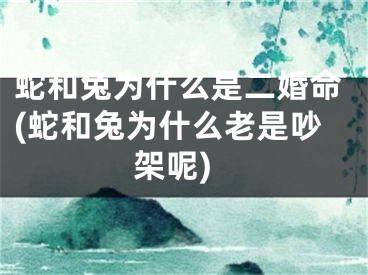 蛇和兔为什么是二婚命(蛇和兔为什么老是吵架呢)