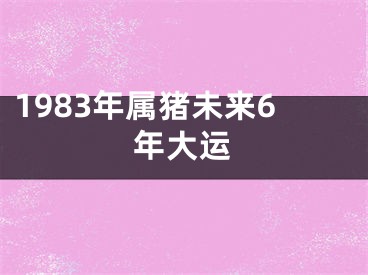 1983年属猪未来6年大运