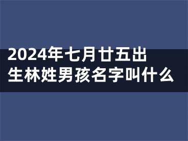 2024年七月廿五出生林姓男孩名字叫什么