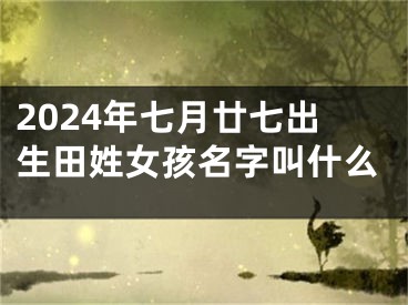 2024年七月廿七出生田姓女孩名字叫什么