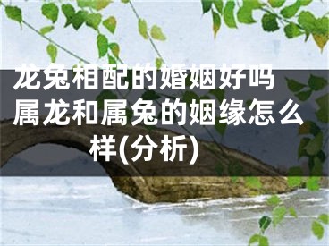 龙兔相配的婚姻好吗 属龙和属兔的姻缘怎么样(分析)
