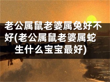 老公属鼠老婆属兔好不好(老公属鼠老婆属蛇生什么宝宝最好)