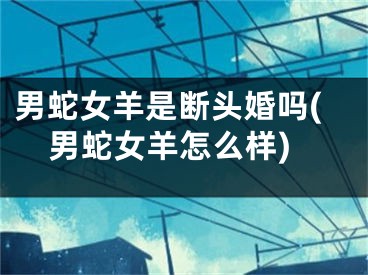 男蛇女羊是断头婚吗(男蛇女羊怎么样)