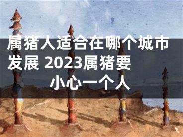 属猪人适合在哪个城市发展 2023属猪要小心一个人