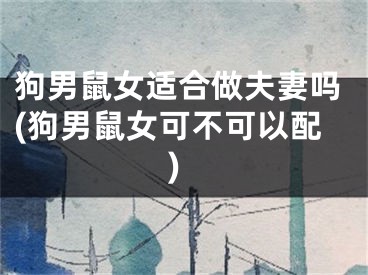 狗男鼠女适合做夫妻吗(狗男鼠女可不可以配)