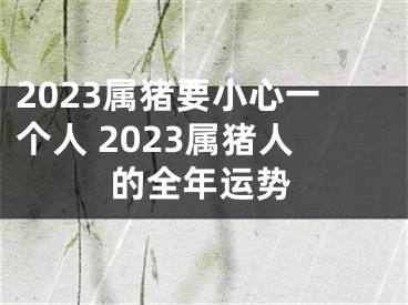 2023属猪要小心一个人 2023属猪人的全年运势