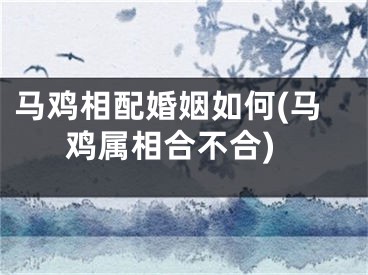 马鸡相配婚姻如何(马鸡属相合不合)