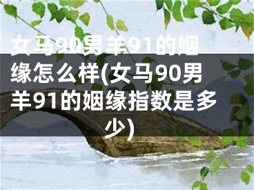 女马90男羊91的姻缘怎么样(女马90男羊91的姻缘指数是多少)