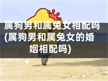 属狗男和属兔女相配吗(属狗男和属兔女的婚姻相配吗)
