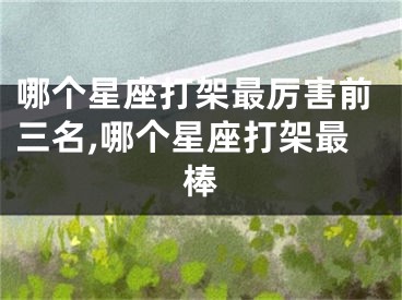 哪个星座打架最厉害前三名,哪个星座打架最棒