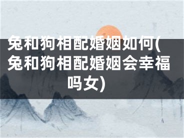 兔和狗相配婚姻如何(兔和狗相配婚姻会幸福吗女)