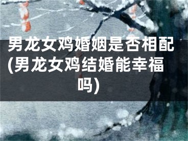 男龙女鸡婚姻是否相配(男龙女鸡结婚能幸福吗)