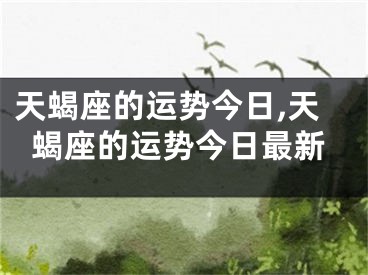 天蝎座的运势今日,天蝎座的运势今日最新