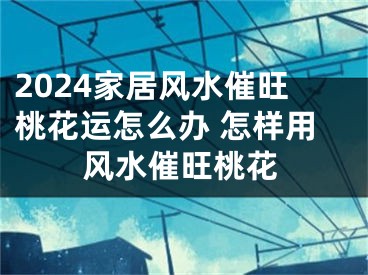 2024家居风水催旺桃花运怎么办 怎样用风水催旺桃花