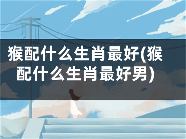 猴配什么生肖最好(猴配什么生肖最好男)
