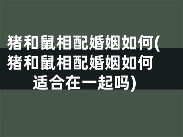 猪和鼠相配婚姻如何(猪和鼠相配婚姻如何 适合在一起吗)