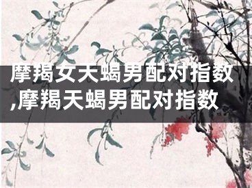 摩羯女天蝎男配对指数,摩羯天蝎男配对指数