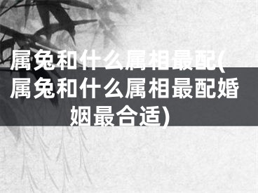 属兔和什么属相最配(属兔和什么属相最配婚姻最合适)