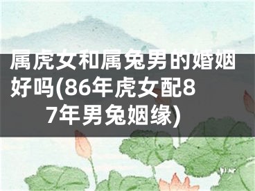 属虎女和属兔男的婚姻好吗(86年虎女配87年男兔姻缘)