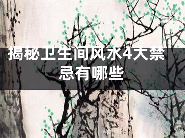 揭秘卫生间风水4大禁忌有哪些