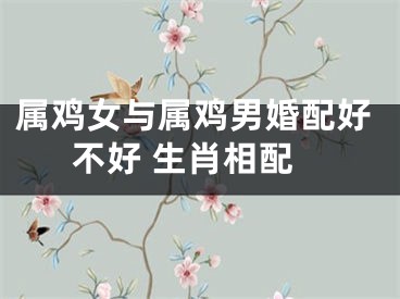 属鸡女与属鸡男婚配好不好 生肖相配